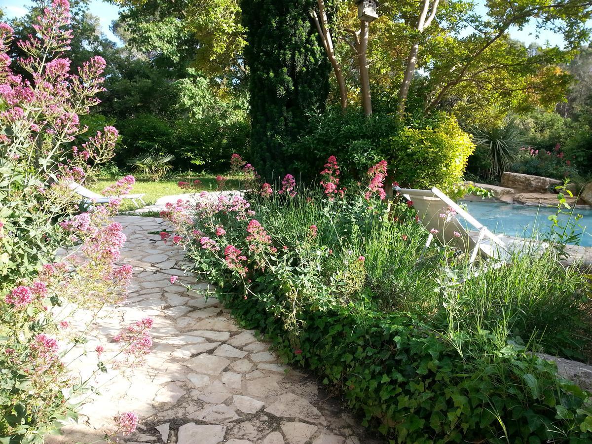 Bed and Breakfast La Bousquatière Piolenc Esterno foto